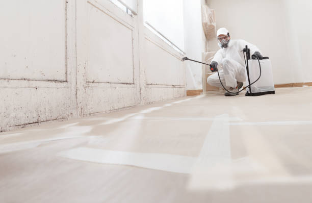 24/7 Emergency Crawl Space Mold Removal experts in Livingston, TN