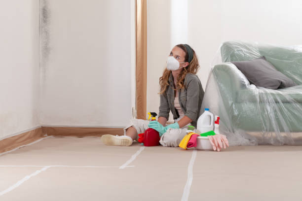 Reliable Crawl Space Mold Removal contractor in Livingston, TN by WQB Mold Removal
