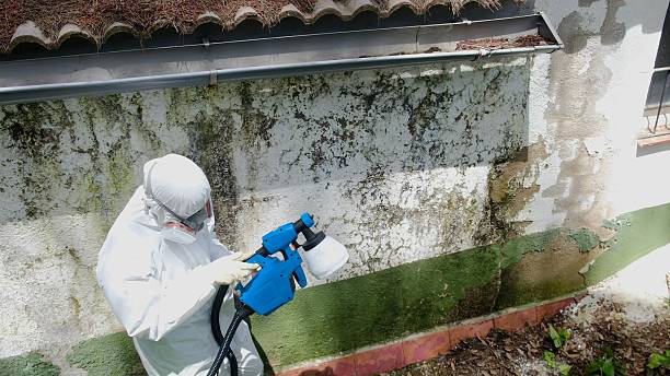 Top rated local Crawl Space Mold Removal specialists in Livingston, TN
